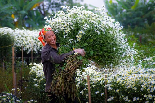 Photo exhibition featuring memories of Hanoi  - ảnh 14